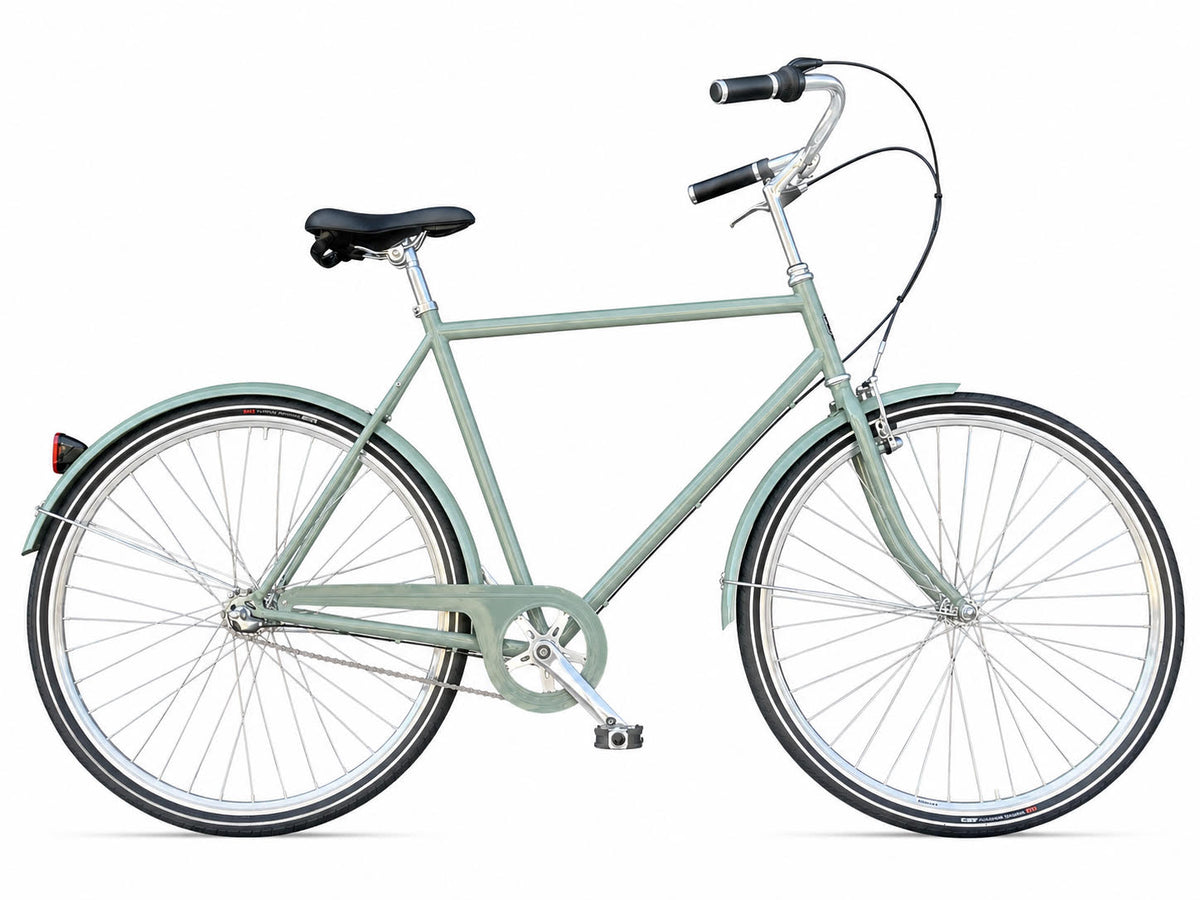 Neptune Retro herrecykler